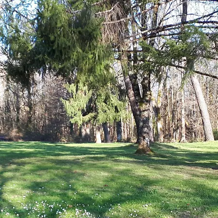 Le Bois Du Bournat Bed & Breakfast Saint-Avit-Sénieur